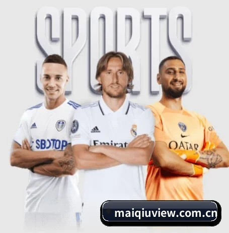 maiqiuview.com.cn APP
